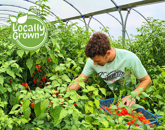 Responsibly "Sauced": The Journey of Pembrokeshire Chilli Farm's Ethical Ingredients