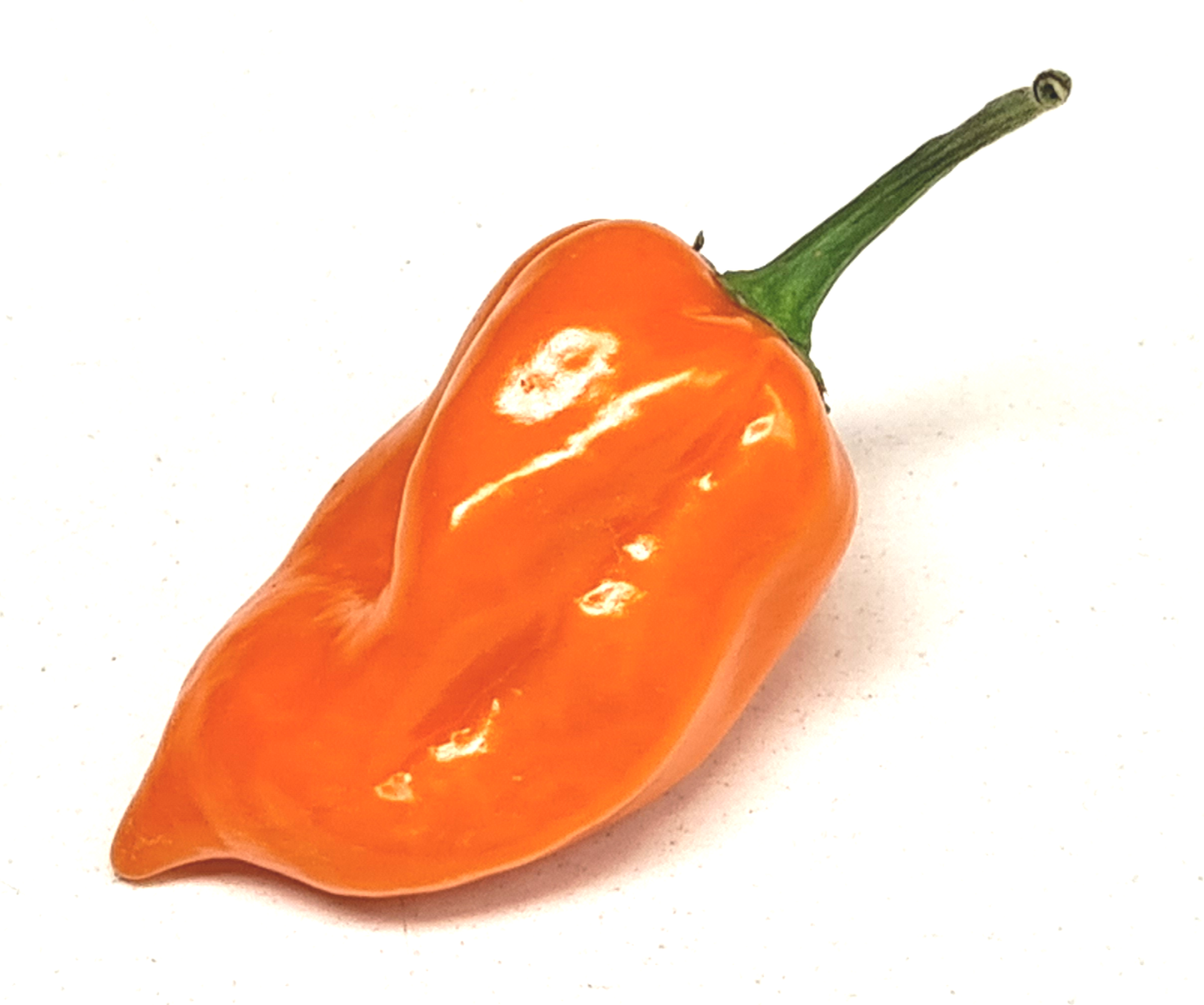 Fresh Orange Habanero Chillies