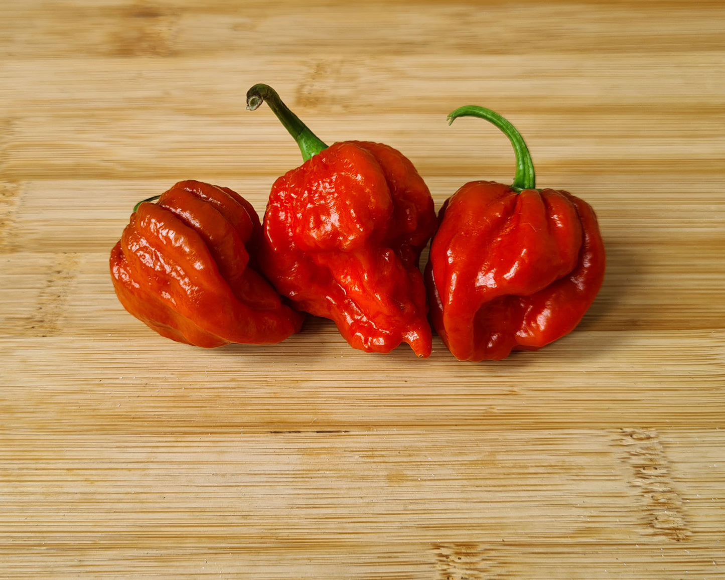 Fresh Caramel Scorpion Chillies