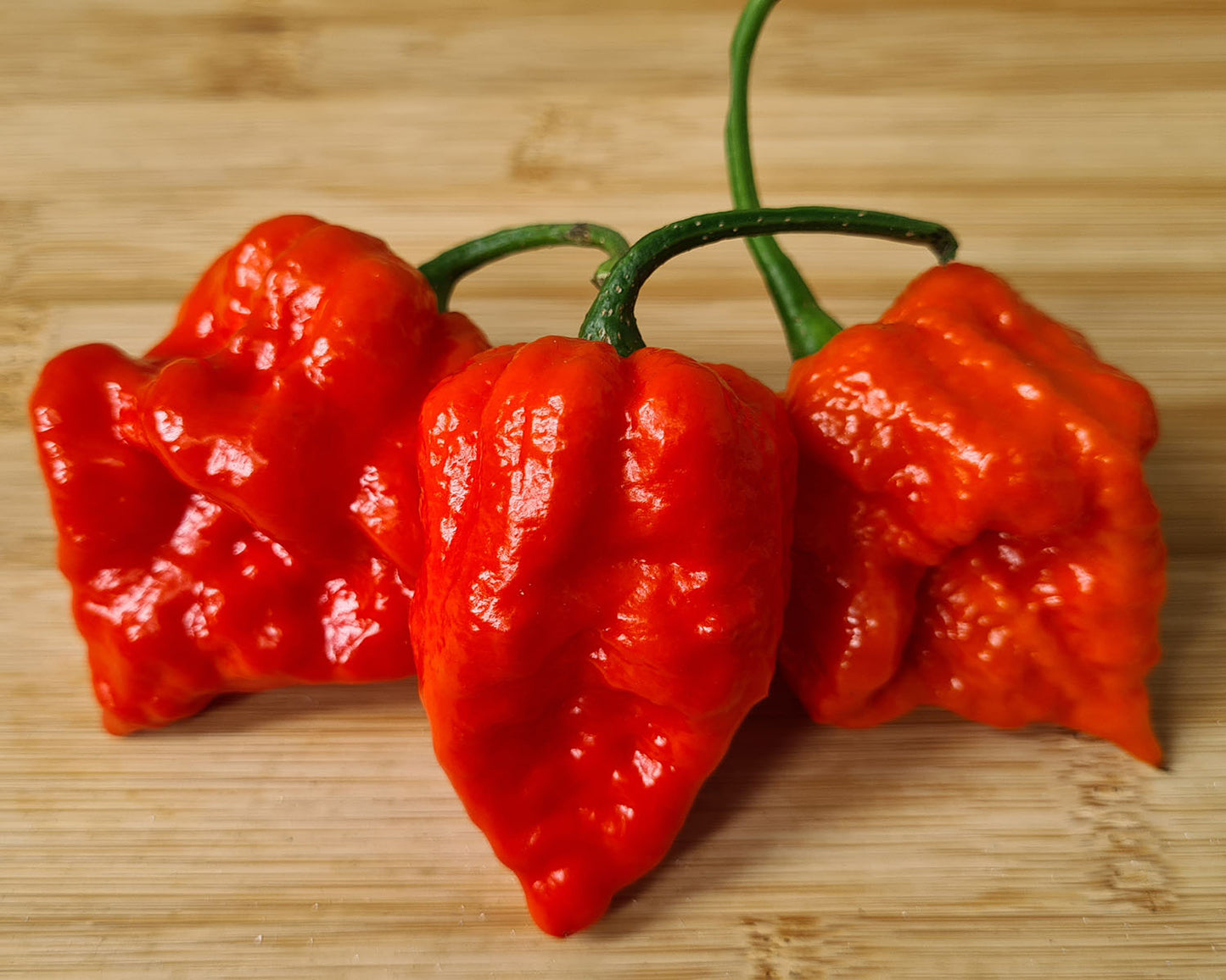 Fresh Hurtberry Chillies
