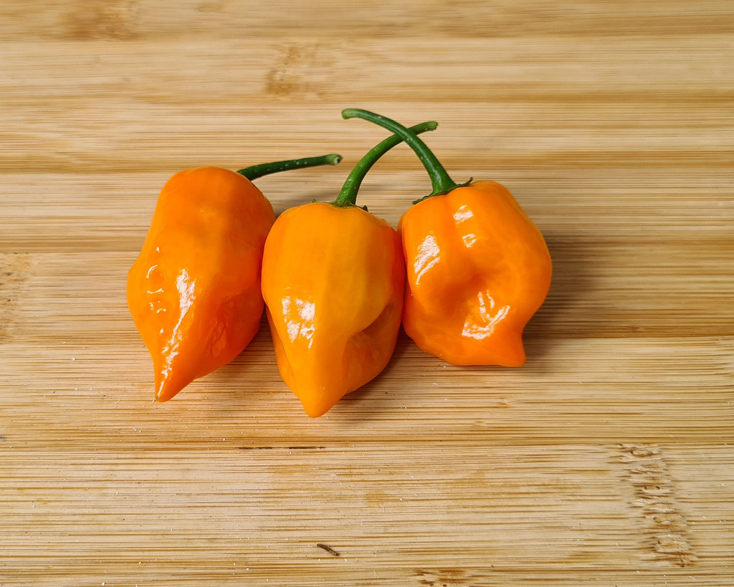 Fresh Orange Habanero Chillies