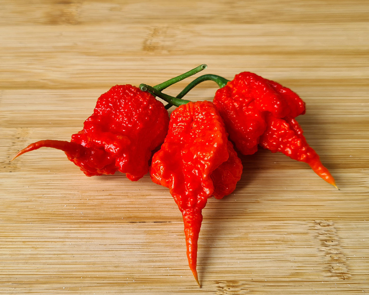 Fresh Carolina Reaper Chillies