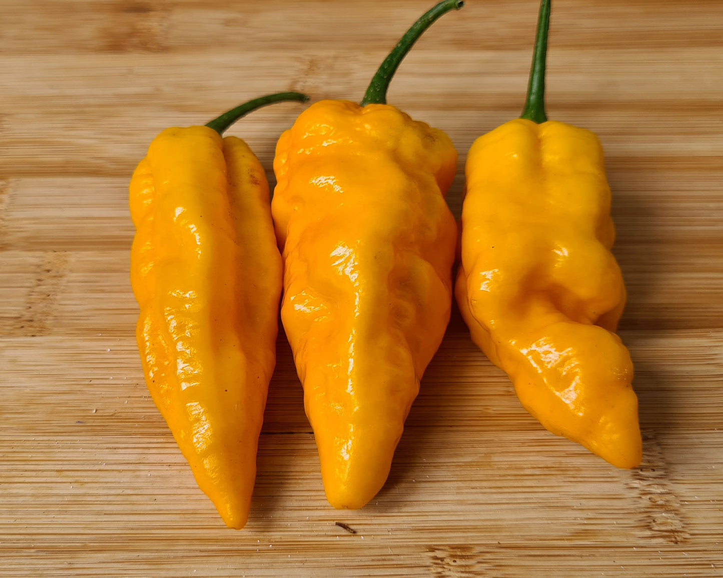 Fresh Yellow Naga Chillies