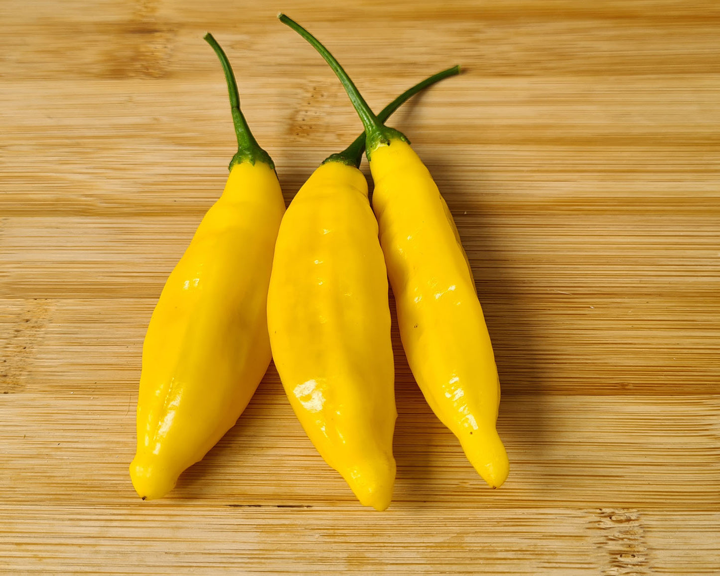 Fresh Aji Limon Chillies
