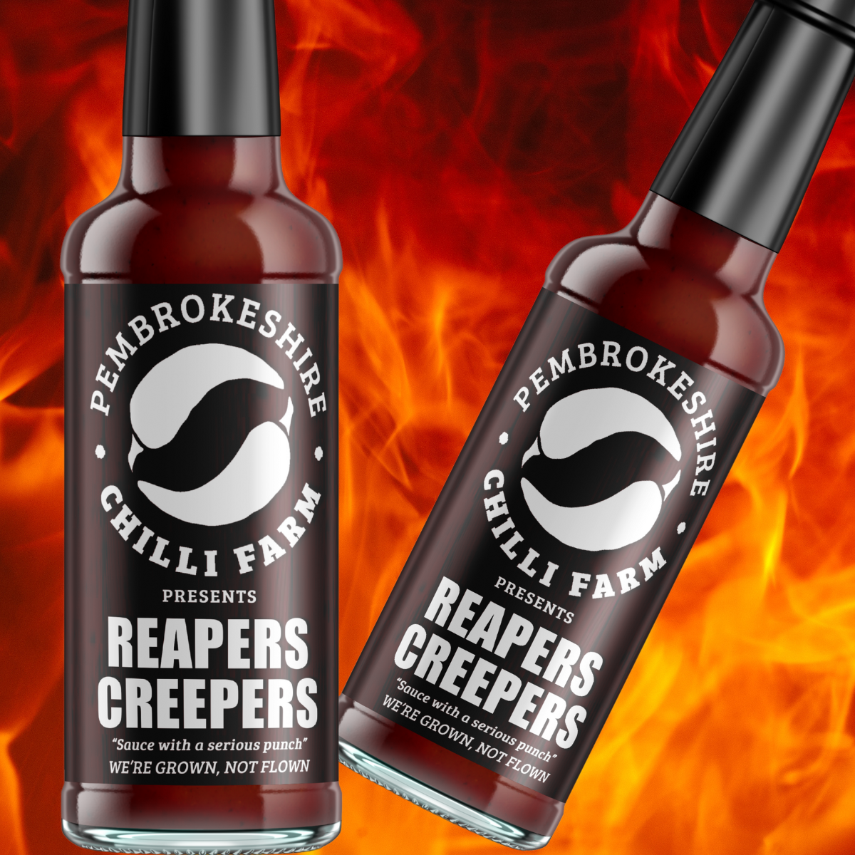 Creapers Condiments Reapers Creepers – Pembrokeshire Chilli Farm
